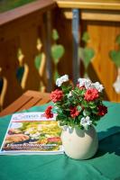 Dopplerstubn - Bed and Breakfast Agsdorf