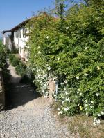 Agriturismo Podere il Fornacino - B&B Santa Luce