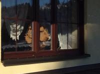 Appartamento con Balcone