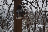 Chalet con 2 Camere da Letto e Vista Montagna