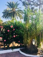 El Cortijo de Miguel - Bed and Breakfast Nerja