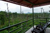 THE SUVISTARA WAYANAD KERALA - B&B