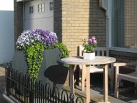 B&B Egmond aan Zee - De Oosterberg - Bed and Breakfast Egmond aan Zee