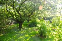 1 Hope Cottage - Bed and Breakfast Spilsby