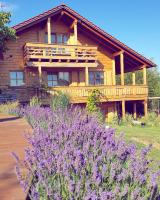 Ferienhaus Alpenpanorama Chalet - B&B Mollenberg