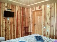 Basic Triple Room