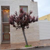 B&B San Luis - Vía Lavalle Suites 1 - Bed and Breakfast San Luis