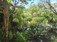 Duplex Vue sur Mer et Pieds dans l'eau Plage de Pramousquier - B&B