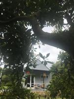 Paradise Grove - B&B Whangamata