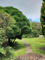 English Gardens - Forest Spa Suite - Ferienwohnung Springbrook