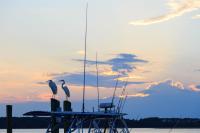 Ocean Escape - Bed and Breakfast Hilton Head Island