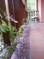 Appartement avec Balcon