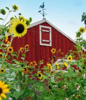 Sunflower Hill Inn - Ferienwohnung