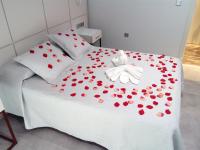 Comfort Double or Twin Room