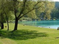 Apartment - Erdgeschoss