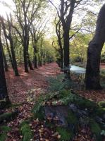 Atelier Zonnehoek - B&B
