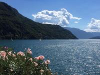 Daniel House - Bed and Breakfast Bellano