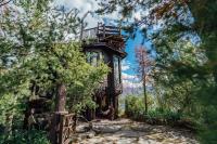 Tree House with 360° Landmark View (2 Adults)