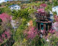 Tree House with 360° Landmark View (2 Adults)