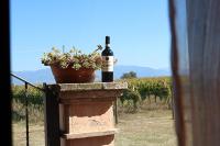 Casale Rialto - B&B Montefalco