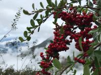 Casa Entera - Ferienwohnung Huilong