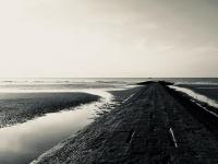 Meeuwenbank - Chambres d’hôtes Nieuport