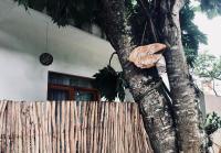 Madla rooms - B&B