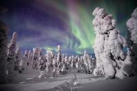 Villa Saarua by the Slopes Ski in, Family & Bike Park, hike trails, National Park, WiFi - Lapland Villas - B&B Ruka