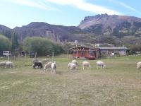 Hospedaje el juncal - B&B Puerto Ingeniero Ibáñez