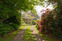 Mercury Orchard - B&B Whenuakite