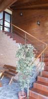 EFM Motel - B&B Brezoi