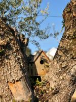 Azenha do Tio Luís - B&B Caminha