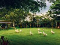Better Weather Homestay - B&B