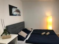 Apartment Brno centrum with private parking - B&B Brno