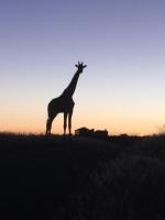 Windhoek Rural Self Catering - B&B