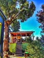 Apartment Green House - B&B Makhinjauri