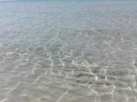 Casa Francesco 80m dal mare cristallino - B&B Lido Marini