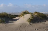 Villa KARIN - Chambres d’hôtes Ostdunkerque