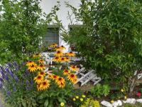Apartmaji Groš - B&B