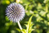 Buchmann Lehen - Ferienwohnung Irdning-Donnersbachtal