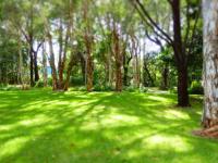 Boomerang Hideaway - at Tranquil acreage - Chambres d'hôtes Blueys Beach