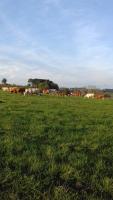 La maison d'Augusta - Bed and Breakfast