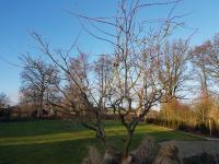 Appartement Seeve - B&B
