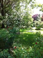 Casa a Soliera - B&B Il Cristo