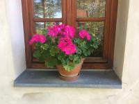 Holiday Home Usedlost Nový Svět - Bed and Breakfast