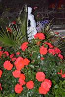 One-Bedroom Apartment (2 Adults)