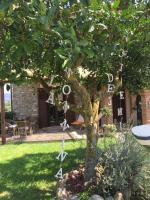 B&B La Nonnina del Cilento - B&B Casal Velino