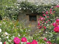 Cà di Minù - B&B Tarzo