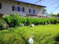 Chambre d'hôtes La Haie Fleurie - Bed and Breakfast