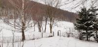 Apartament przy Mickiewicza - B&B
